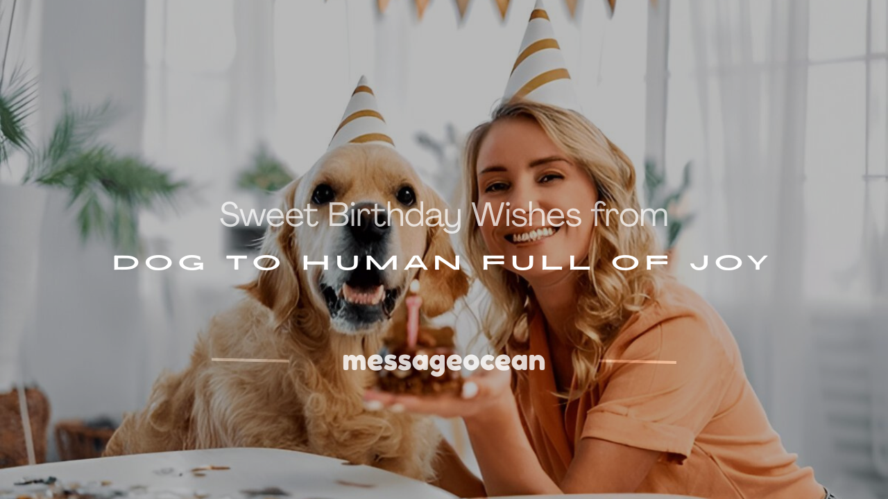 birthday wishes from dog to human