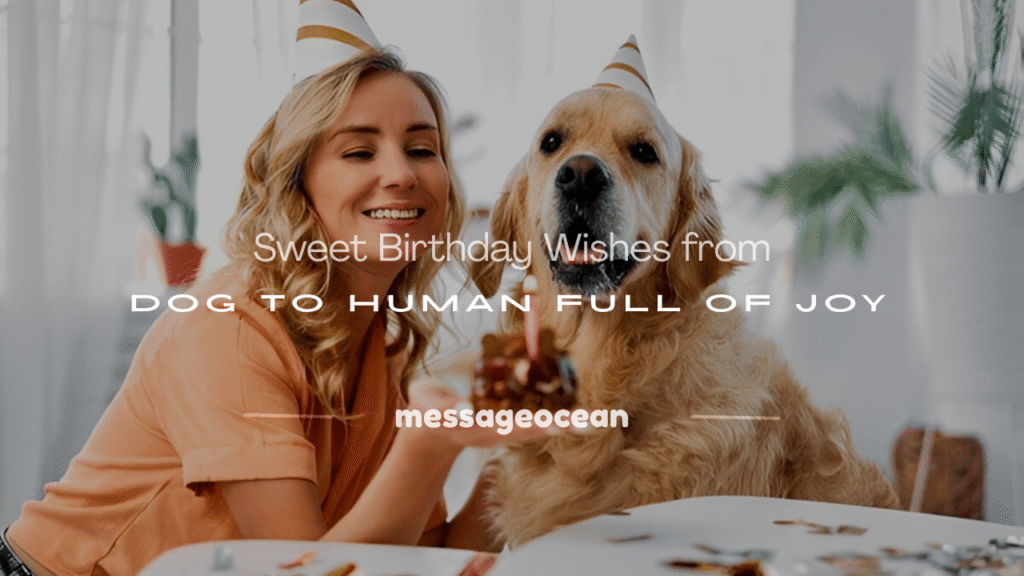 birthday wishes from dog to human
